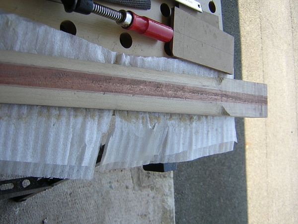 ébauche du galbe.JPG